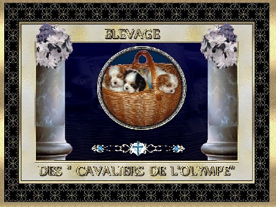 des cavaliers de l'Olympe